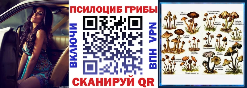 Псилоцибиновые грибы мицелий  mega ССЫЛКА  нарко площадка клад  Керчь 