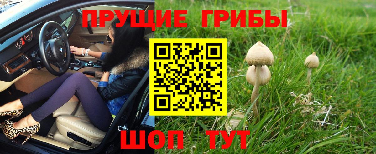 Галлюциногенные грибы ЛСД  Псилоцибиновые грибы Psilocybe  Керчь  Вход с VPN 